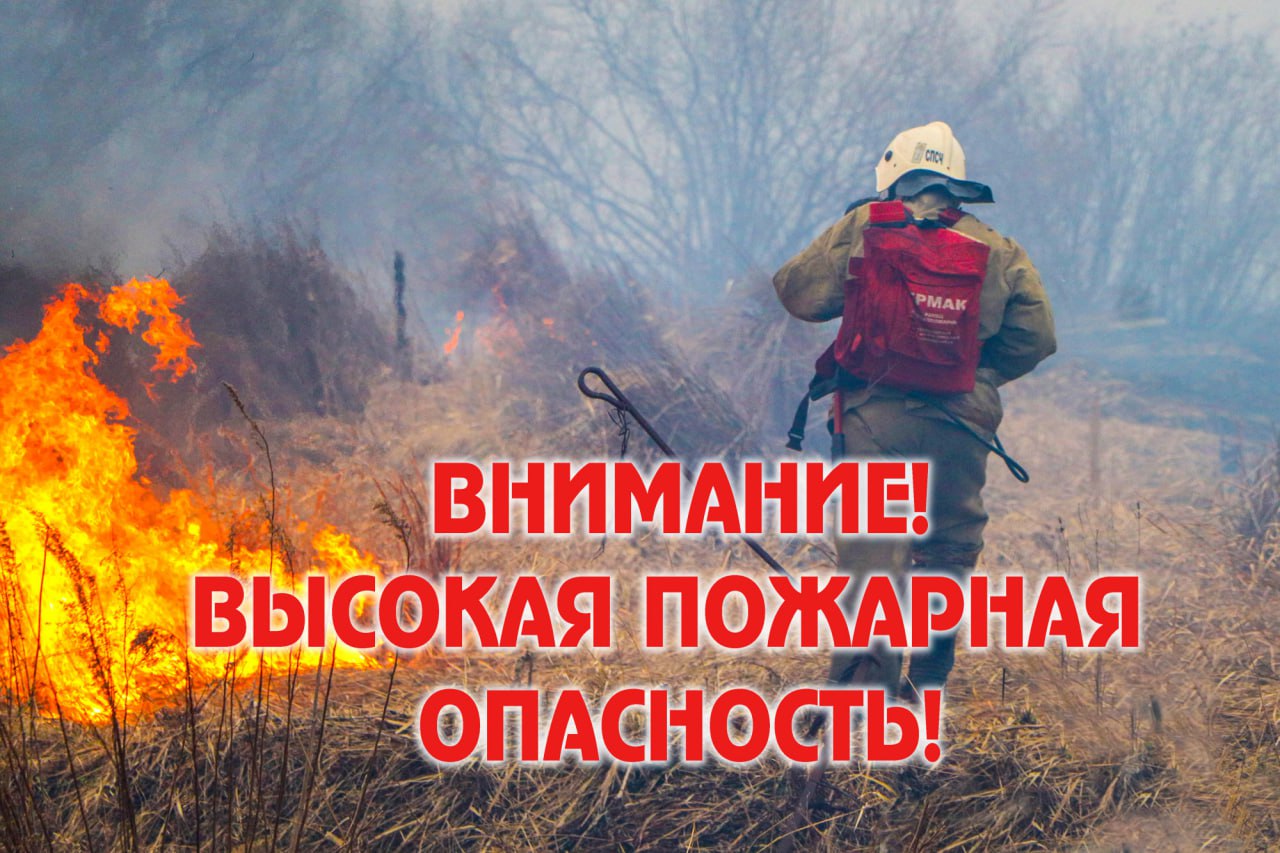 Опасная погода в ЛНР: суховей и высокий риск пожаров По информации синоптиков, в некоторых районах ЛНР Сватово, Дарьевка наблюдается опасный суховей, негативно влияющий на посевы озимой пшеницы. Жаркая погода с сильным ветром и низкой влажностью уже несколько дней вредит растениям, особенно в Новопсковском районе Также, в большинстве районов ЛНР за исключением северо-западных и южных сохраняется высокий уровень пожарной опасности Вести. Луганск Подписаться Прислать новость