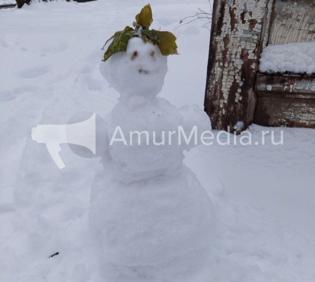Привет от зимы Завтра, 18 мая, в Хабаровском крае ожидается...снегопад. По данным МЧС, в регион придёт очередной циклон. Мокрый снег и порывистый ветер до 28 м/с прогнозируются в Тугуро-Чумиканском и Аяно-Майском районах. В Хабаровском и Верхнебуреинском районах - сильные дожди. #погода AmurMedia Прислать новость