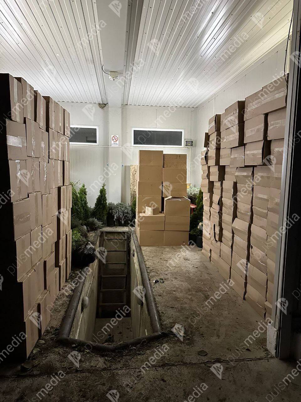 Контрабандные сигареты среди рождественских елей В Бричанах полиция обнаружила два микроавтобуса перевозившие 100 000 пачек контрабандных сигарет спрятанных среди искусственных елей и праздничных украшений Задержаны шесть человек включая водителей Подписаться