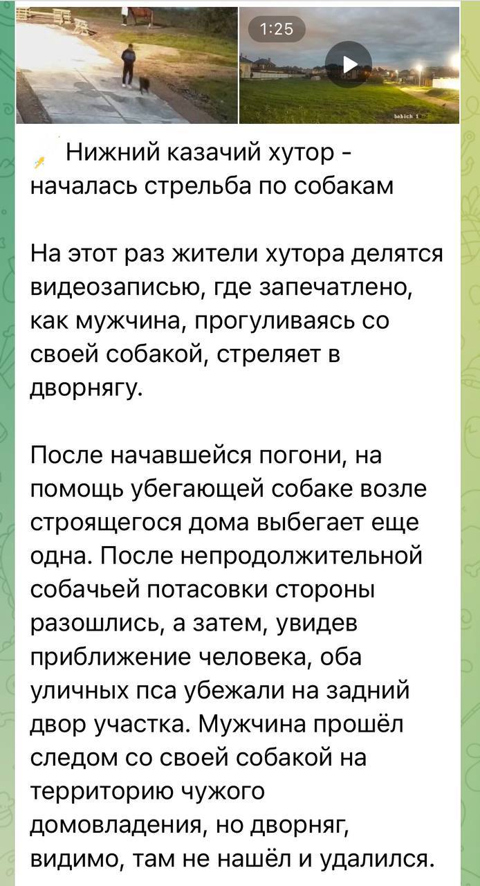 Мужчина стрелял по бездомной собаке в Краснодаре В соцсетях появилось видео на котором неизвестный во время прогулки по СНТ Нижний казачий хутор стрелял в бездомную собаку а после спустил на неё собственного пса Вместе они преследовали жертву пока она не скрылась на чужом участке Сейчас полиция выясняет все детали происшествия кто стрелял зачем и из чего вел огонь Кубанские Новости   Мы в MAX