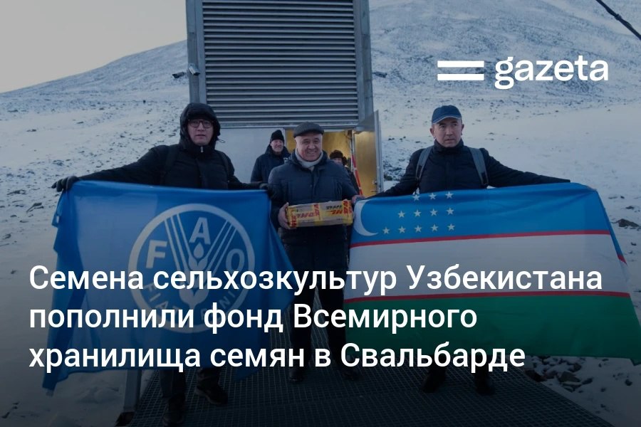 Образцы семян более 20 сортов традиционных сельхозкультур Узбекистана переданы во Всемирное хранилище семян Свальбарда в Норвегии Это дыня арбуз томат перец баклажан морковь лук и пшеница Расположенное в вечной мерзлоте хранилище содержит резервные копии более 1 1 миллиона образцов со всего мира Это снижает риск утраты видов растений из за природных катастроф конфликтов финансовых кризисов или технических сбоев   www gazeta uz ru 2025 10 29 svalbard uzbekistan fao Telegram Instagram YouTube