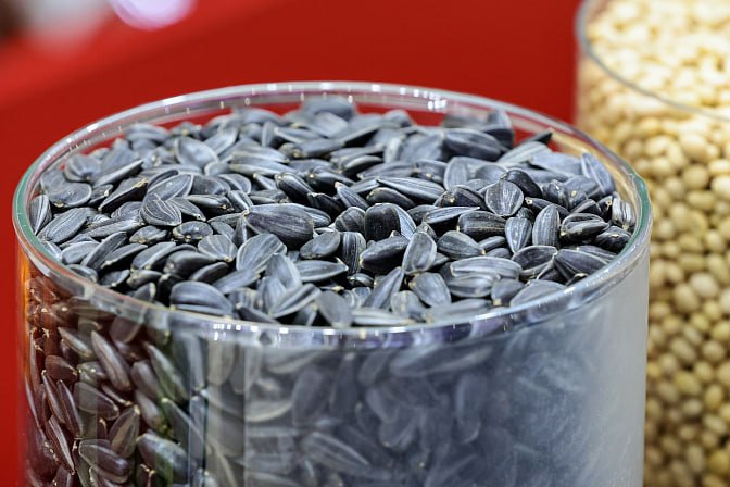 Минсельхоз более 67 семян в России отечественного производства 30 октября СЕНАТ ИНФОРМ Больше 67 семян в России отечественного производства сказала первый замглавы Минсельхоза Елена Фастова на совещании Комитета СФ по аграрно продовольственной политике и природопользованию где обсудили Федеральную научно техническую программу ФНТП развития сельского хозяйства Программа принятая в 2017 году рассчитана до 2030 года Как уточнила Елена Фастова в рамках ФНТП реализуется 15 подпрограмм две из которых приняли в марте 2025 года Они касаются развития производства ветеринарных препаратов а также сельхозтехники и оборудования Целью программы является импортозамещение и уже есть ощутимые результаты в этой сфере В программе научно технологического развития сельского хозяйства задействовано 130 организаций идёт работа над 41 проектом уточнила директор Департамента селекции и семеноводства Минсельхоза Виктория Турченкова По её словам за 2024 год и 9 месяцев 2025 года в государственный реестр внесено 52 новых сорта и гибрида До конца года планируют внести ещё 10 сортов семян