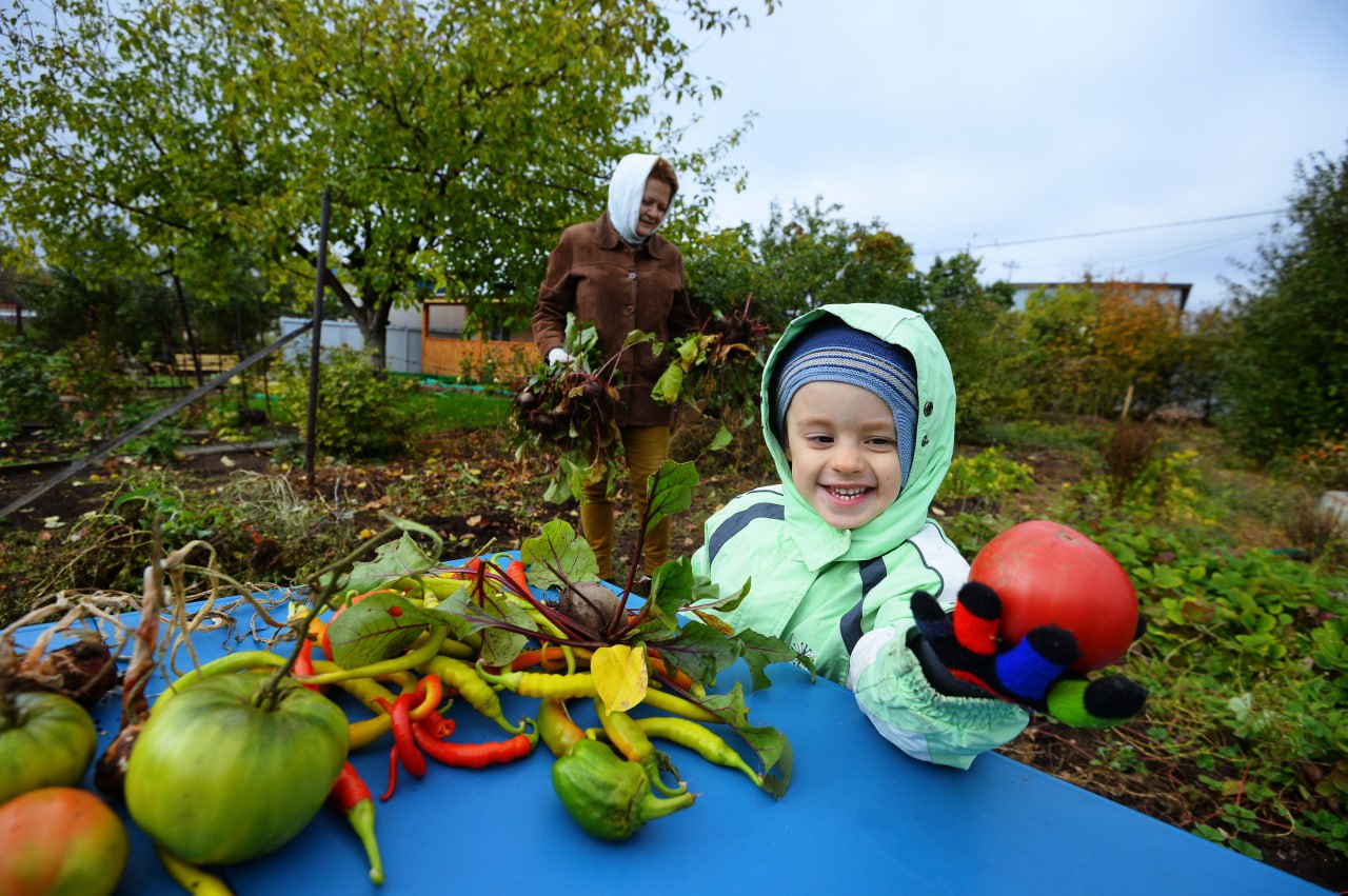 В Волжском отменят дачные автобусы В Волгоградской области дачные маршруты прекращают свою работу В ближайшие выходные у жителей Волжского последний шанс воспользоваться сезонными автобусами чтобы добраться до своей дачи или участка Подробнее