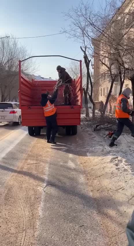 Уссурийск продолжает благоустройство: снос аварийных деревьев и измельчение пней