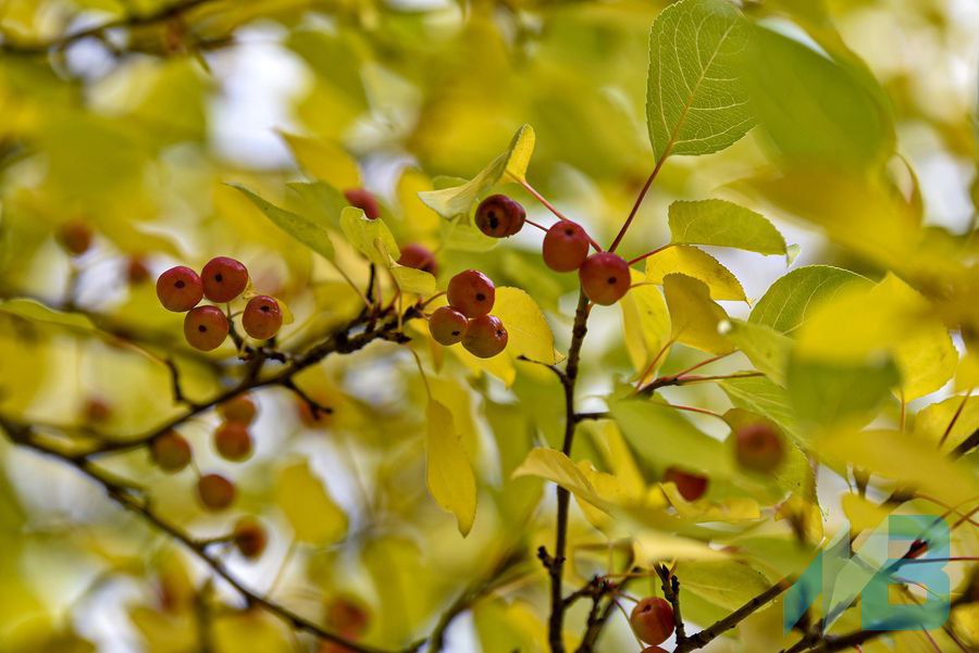 Мурманский Вестник новости Главное сегодня Владимир Путин подписал закон облегчающий оформление гражданства России по рождению Губернатор Мурманской области Андрей Чибис рассказал ТАСС о том какой будет Российская Арктика через 25 лет Жители Мурманской области должны уплатить 1 6 млрд рублей имущественных налогов В Мурманской области теперь будут праздновать День судоремонтника Названа дата выхода в прокат сказки снятой в Кировске