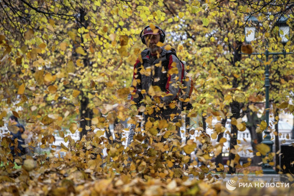 Более 40 россиян испытывают заметный упадок энергии и настроения осенью говорится в исследовании медиахолдинга Rambler Co Лишь 35 встречают осень с энтузиазмом отмечая любовь к прохладе и особой атмосфере этого времени года 24 опрошенных россиян признались в легкой усталости но отметили что сохраняют привычный ритм жизни тогда как 41 испытывают заметный упадок энергии и настроения Основными причинами апатии становятся природные факторы 48 опрошенных ссылаются на недостаток солнца и тепла 30 респондентов указали что холод и дожди мешают им строить планы а 15 признали психологические сложности с самоорганизацией лишь 7 участников исследования отметили нехватку компании или вдохновения как ключевой фактор