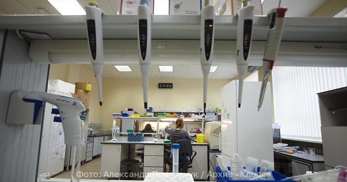 Со скоростью 220 м с в России придумали вакцину от COVID 19 которую вводят без иглы Учёные центра вирусологии Вектор разработали и запатентовали вакцину которая встраивается в ДНК а вводить препарат в организм нужно с помощью безыгольного шприца Такой способ даёт высокий уровень иммунного ответа и снижает вероятность побочных эффектов Струйный способ введения вакцины внутримышечно учёные испытали лабораторных животных Это помогло также определить оптимальные условия для инъекции Максимальная эффективность достигается когда скорость струи составляет 220 м с при этом на введение препарата требуется всего 0 33 секунды