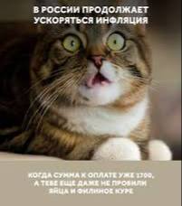 В сентябре в России снова ожидается скачок цен.   Годовая инфляция может составить до 10,5%, предупреждают экономисты. Причины — рост цен на бензин, подорожание услуг из-за отопительного сезона и ослабление рубля. Хотя летом инфляция немного замедлилась, осень традиционно считается временем ценового роста.