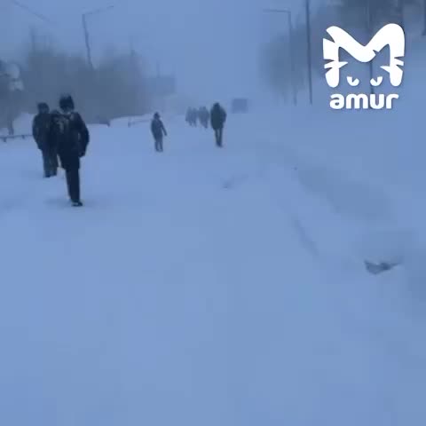 Снегопад в Петропавловске-Камчатском: движение восстановлено, но автобусы не ходят