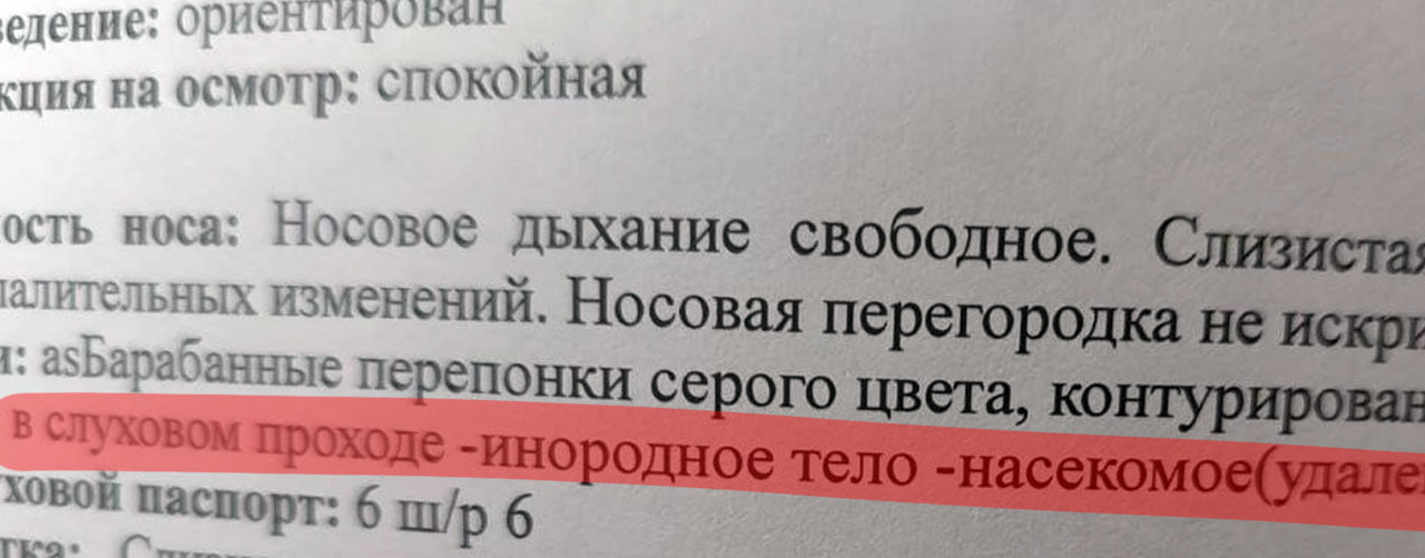 Паук жил неделю в ухе уфимки и сплёл там паутину.   Женщина подумала, что в ухо залетела мошка, но позже начала слышать шорохи — «гость» обустраивался.   ЛОР достал паука, угрозы здоровью нет    Прямой эфир