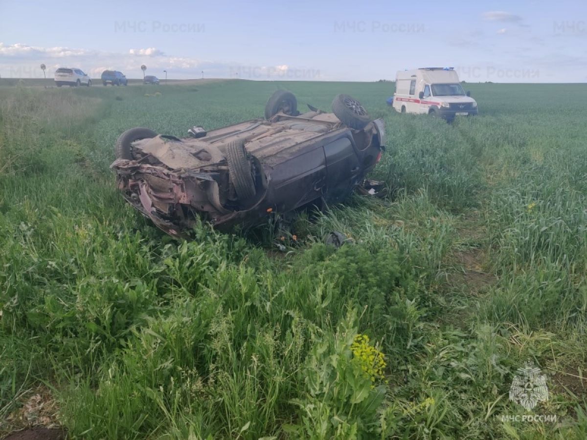 В Михайловке жестко перевернулась машина, два человека погибли     В Новодеревеньковском районе люди пострадали из-за перевернувшегося автомобиля. В результате аварии пострадали несколько человек. Есть двое погибших.  ↗  Прислать новость   Подписаться