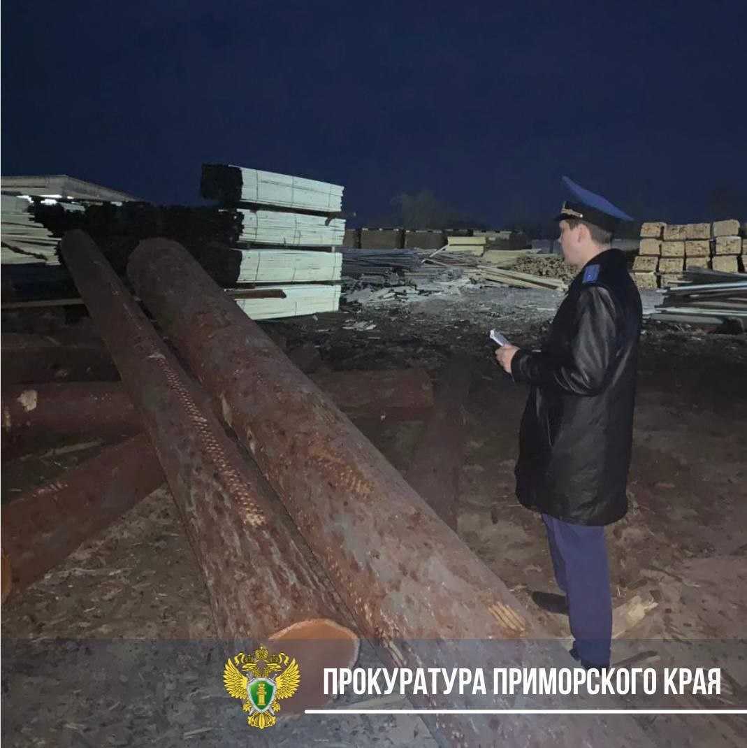 В Приморье предприниматель не смог оспорить приговор по делу о гибели ребёнка на пилораме Приморский краевой суд оставил в силе приговор Спасского районного суда, который признал ИП Д. виновным в причинении смерти по неосторожности ч. 1 ст. 109 УК РФ и назначил ему 1 год и 6 месяцев ограничения свободы. Трагедия произошла в мае 2023 года в Спасске-Дальнем: двое братьев забрались на штабель круглых брёвен на территории пилорамы. Во время игры одно из брёвен скатилось и придавило 9-летнего мальчика. Ребёнок погиб на месте. Адвокат Д. утверждал, что земля находилась в субаренде, а сам предприниматель в момент происшествия был за границей. Однако суд установил, что территория не была огорожена, а доступ к опасному объекту был свободным. Мать погибшего рассказала, что после случившейся трагедии все члены семьи не могут прийти в себя до сих пор. Семья является многодетной и родители до сих пор так и не объяснили старшей сестре, которая является инвалидом, куда пропал её брат. Другая сестра от пережитого ужаса до сих пор кричит во сне. Тот брат, который не погиб, винит себя в случившейся трагедии. Также мать погибшего пояснила, что не смог пережить трагедии и их отец, её муж, который уехал работать в другой регион вахтовым методом. Женщина отказалась от компенсации в 1,5 млн рублей, предложенной Д., и планирует подать иск на 5 млн. Поделись новостью Telegram Владивостока