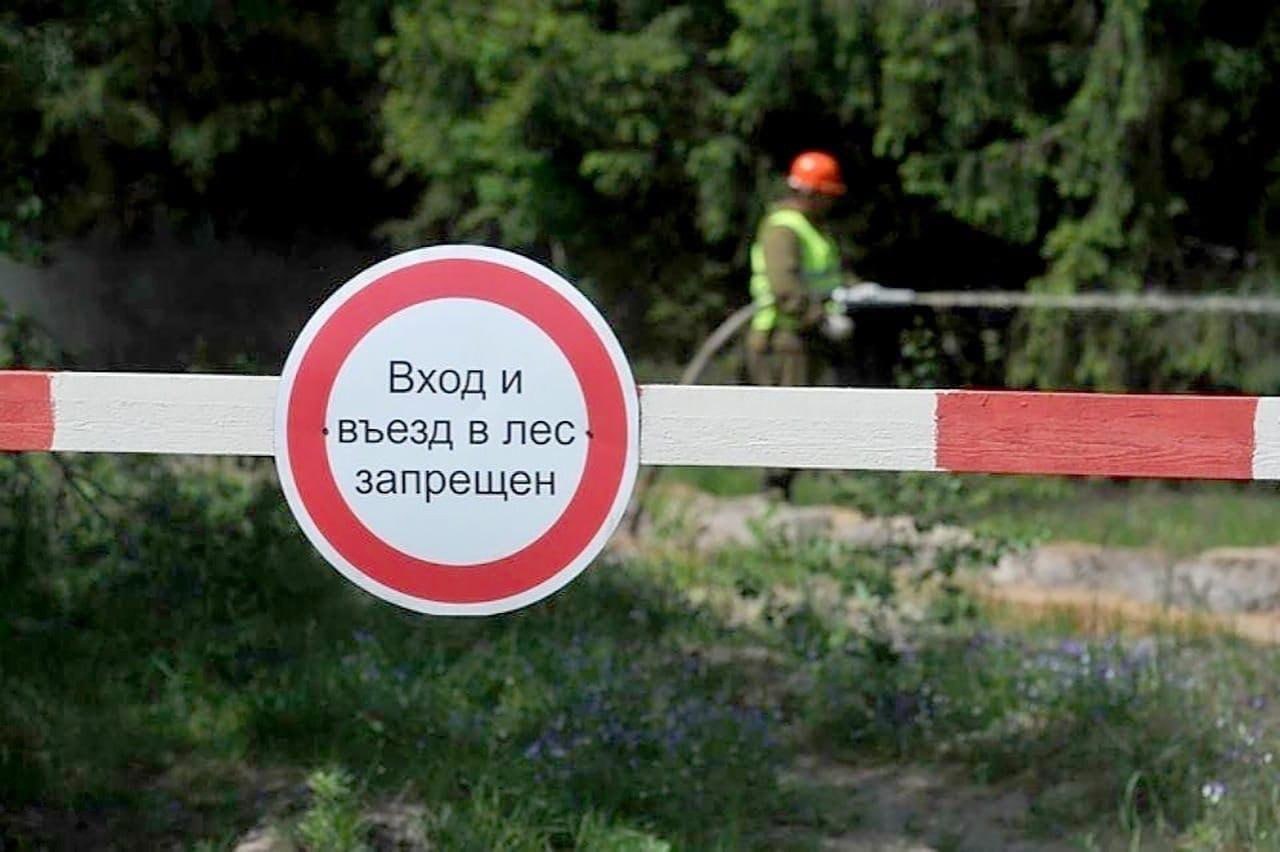Ограничение на вход в леса Забайкалья сохранится до конца мая Так, запрет продолжает действовать на территории большинства районов края, включая Агинский, Акшинский, Александровско-Заводский, Аргунский, Бадинский, Балейский, Беклемишевский, Верхне-Читинский, Газимуро-Заводский, Дульдургинский, Ингодинский, Карымский, Красночикойский, Кыринский, Могочинский, Нерчинский, Оленгуйский, Ононский, Петровск-Забайкальский, Сретенский, Тунгокоченский, Хилокский, Чарский, Чернышевский, Читинский за исключением участка леса напротив микрорайона Северный, от Каштакского кольца по объездной трассе до пересечения с улицей Верхоленская, в районе горнолыжного комплекса «Высокогорье» и местности «Сухотино» с обозначенным местом отдыха и Шилкинский районы.