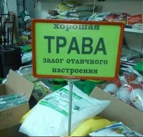 Конопляный завод откроют в Татарстане Предприятие по переработке технической конопли начнёт работу в Муслюмово уже в декабре Под выращивание конопли выделено 600 гектаров объём инвестиций 100 млн рублей Присылайте нам новости через VTPnewsbot и вас услышат Подписаться на канал Мы в МАХ