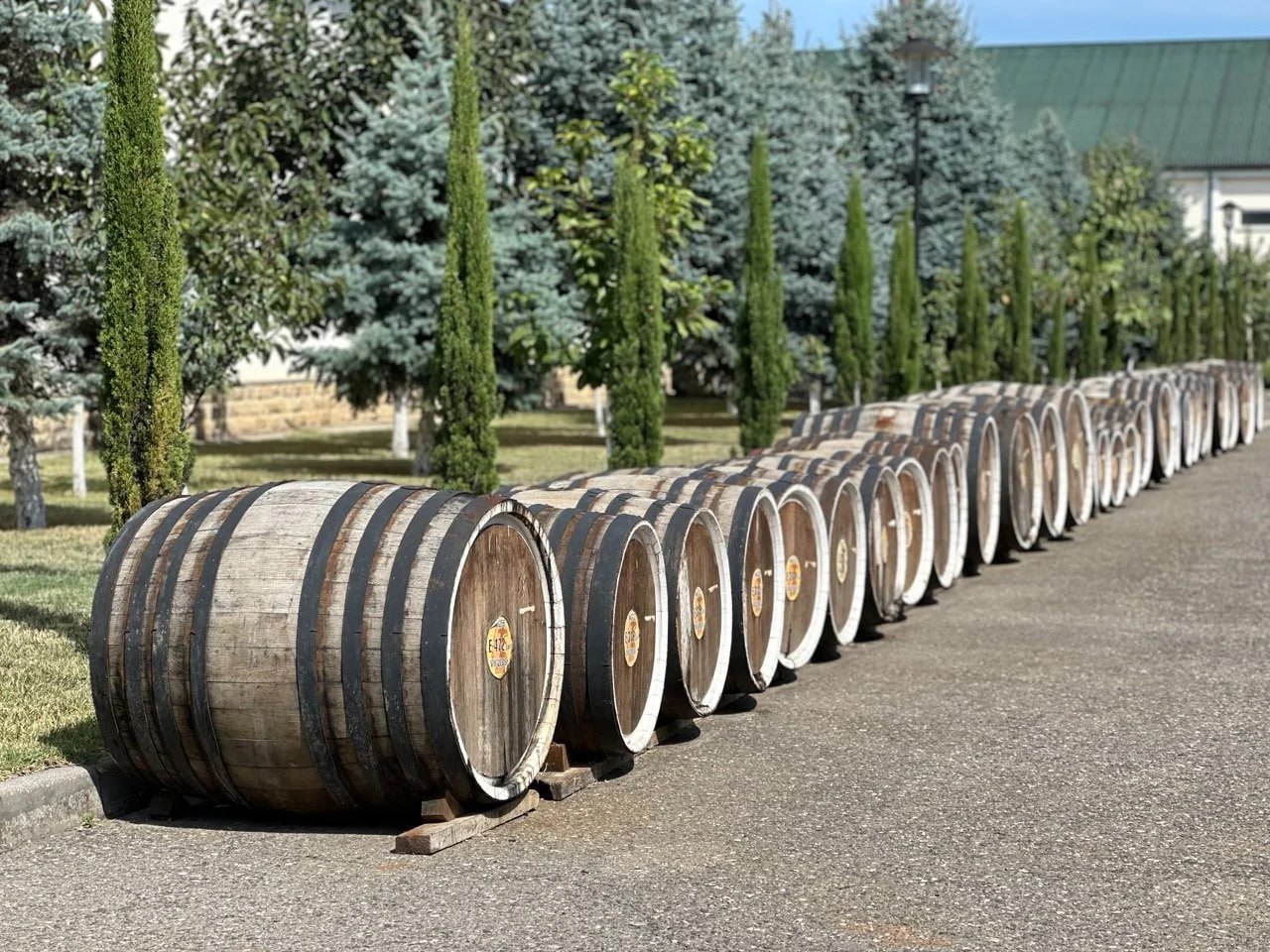 Дагестан вошел в число лидеров по производству вина в 2025 году По итогам 2025 года Россия увеличила производство виноградных вин на 13 6 достигнув объема в 36 981 млн декалитров Лидерами отрасли традиционно стали регионы Южного и Северо Кавказского федеральных округов сообщает Росалкогольтабакконтроль В Южном федеральном округе было произведено 25 5 млн дал вина Крупнейшим производителем страны остается Краснодарский край с показателем 15 5 млн дал рост 9 На втором месте Крым 7 04 млн дал за ним следует Адыгея 1 8 млн дал рост 12 Наиболее динамичный рост продемонстрировали регионы Северного Кавказа где выпуск вина вырос на 45 8 и составил около 7 6 млн дал В Дагестане производство увеличилось на 42 6 до 2 2 млн дал в Северной Осетии на 37 до почти 3 4 млн дал в Кабардино Балкарии на 81 до более 1 млн дал