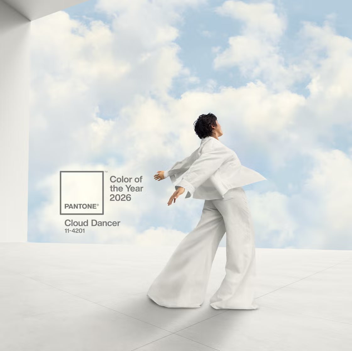 Pantone объявил цвет 2026 года это облачный танцор или PANTONE 11 4201 Cloud Dancer Нейтральный белый приносящий спокойствие ясность и творческое дыхание в шумный мир Актуально после 2025 го techmedia