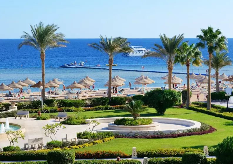 Аэропорт Краснодара увеличивает чартерные рейсы в Египет С 29 октября стартует новый рейс в Шарм эль Шейх дважды в неделю по средам и субботам Ранее Аэрофлот и Библио Глобус объявили о чартерных рейсах в Египет в Шарм эль Шейх с 8 октября в Хургаду с 9 октября также дважды в неделю Кубанские Новости Мы в MAX