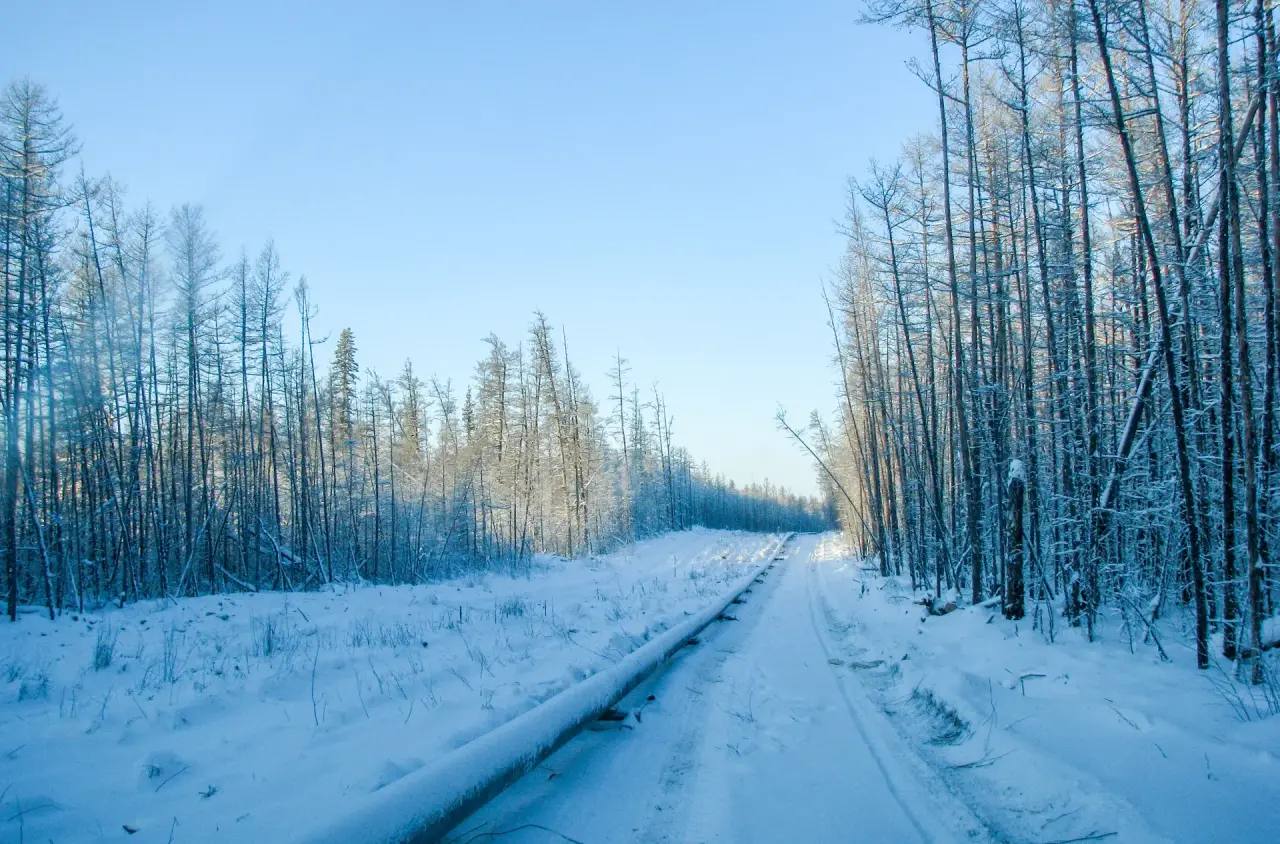 Коллеги из Строительно монтажного управления АО Сахатранснефтегаз продолжают работы на газопроводе отводе к городу Вилюйску от второй нитки магистрального газопровода Кысыл Сыр Мастах На данный момент сварено 15 км трубопровода Кроме этого на объекте выполнены изоляционно укладочные работы протяженностью более 6 км и разработано более 12 км траншеи Мы планируем завершить весь комплекс работ в этом году Напомню что национальная газовая компания Сахатранснефтегаз первой на Дальнем Востоке провела внутритрубную диагностику магистрального газопровода Этот метод был применен на газопроводе Кысыл Сыр Мастах Берго Якутск ВместеТолькоВперёд Сахатранснефтегаз   t me kolodeznikov alexey