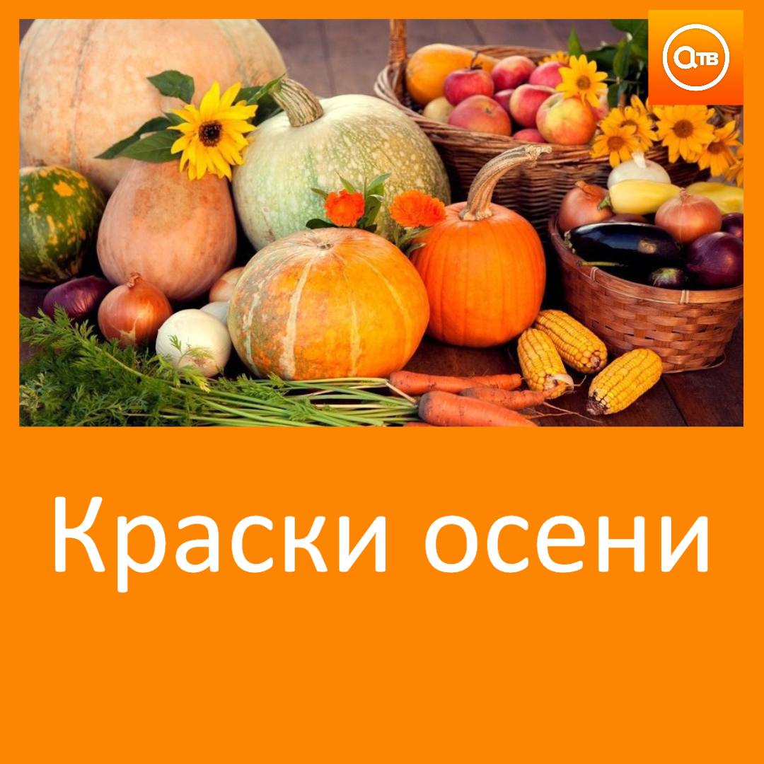 В Ачинске состоится ярмарка Краски осени Когда 6 сентября в эту субботу Где площадь перед Дворцом Культуры Во сколько с 10 до 16 часов На ярмарке будет представлена продукция фермеров сельскохозяйственных товаропроизводителей граждан ведущих личное подсобное хозяйство занимающихся садоводством огородничеством и животноводством а также изделия мастеров декоративно прикладного искусства и народных ремесел Дополнительная информация тел 6 13 78 Приглашаем всех