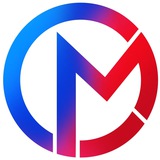 Молодёжный совет СФР