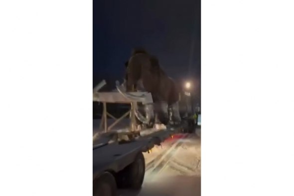 В Иркутской области повстречали мамонта на трассе Вымерший зверь путешествует по региону при помощи тягача Читать подробнее на сайте