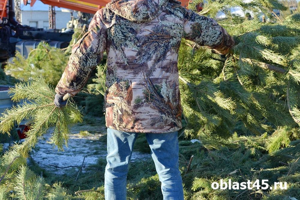 Из Курганской области в Республику Казахстан вывезли почти две тысячи рождественских деревьев Вся колючая продукция прошла контроль и является безопасной для экспорта Казахстан остаётся основным покупателем курганских хвойных каждый год перед праздниками из Зауралья туда отправляют около 20 тысяч деревьев