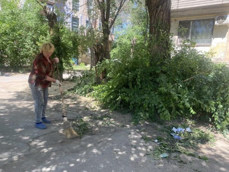 Улицы и дворы Волжского расчищают от упавшего сухостоя и веток В Волжском продолжают устранять последствия сильного ветра, из-за чего массово падают деревья. Как рассказали Волжский.ру в городской администрации, ураган обрушился в ночь с 20 на 21 мая. Сразу же на улицы вышли специалисты и техника комбината благоустройства, чтобы вывезти поваленные деревья и ветки, восстановить работу линии электропередачи. При этом некоторые деревья обрывали провода, которые падали в лужи, что могло привести к короткому замыканию. В течение 2-3 дней специалисты отработали свыше 160 заявок. Также порывы ветра были 26 и 27 мая, из-за чего сухостой продолжил падать. Подробнее на Волжский.ру: