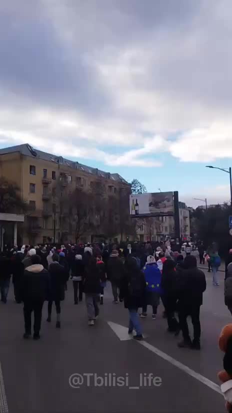 Акция протеста в Тбилиси завершилась мирно