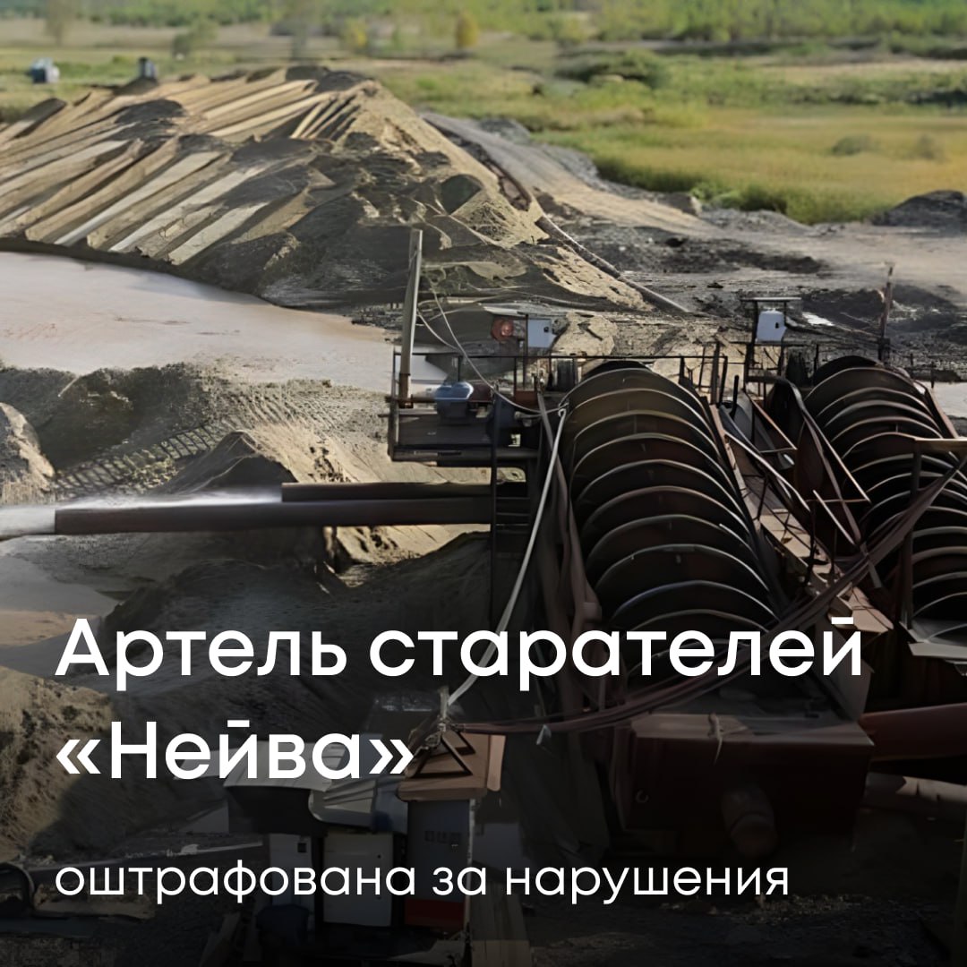 Росприроднадзор привлек к ответственности Артель старателей «Нейва» — горнодобывающую компанию из Невьянска Свердловской области. Предприятие проигнорировало требование подать документы об изменении запасов полезных ископаемых на государственную экспертизу. Это серьезное нарушение законодательства о недрах. Суд признал артель виновной и назначил штраф. Росприроднадзор усилит контроль за работой артели. В связи с систематическими нарушениями материалы будут направлены распределителю недр для принятия решения об аннулировании лицензии.