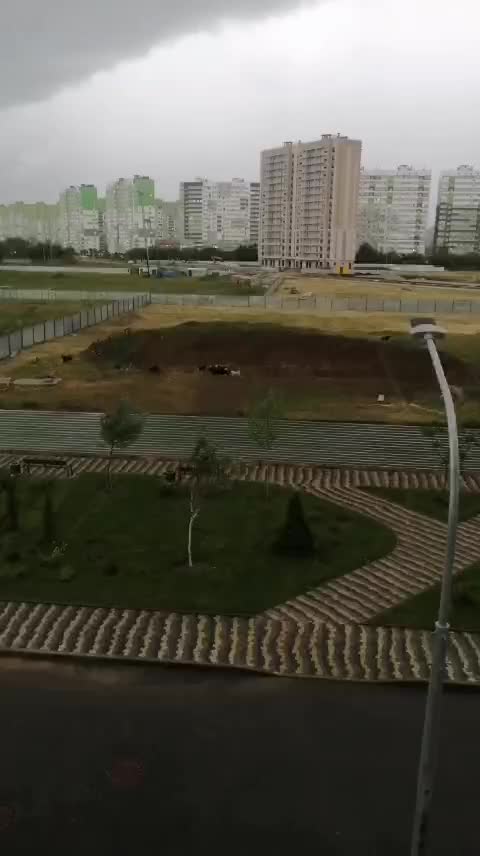 Бастрыкин инициирует проверки по жалобам на бездомных собак в Жилгородке