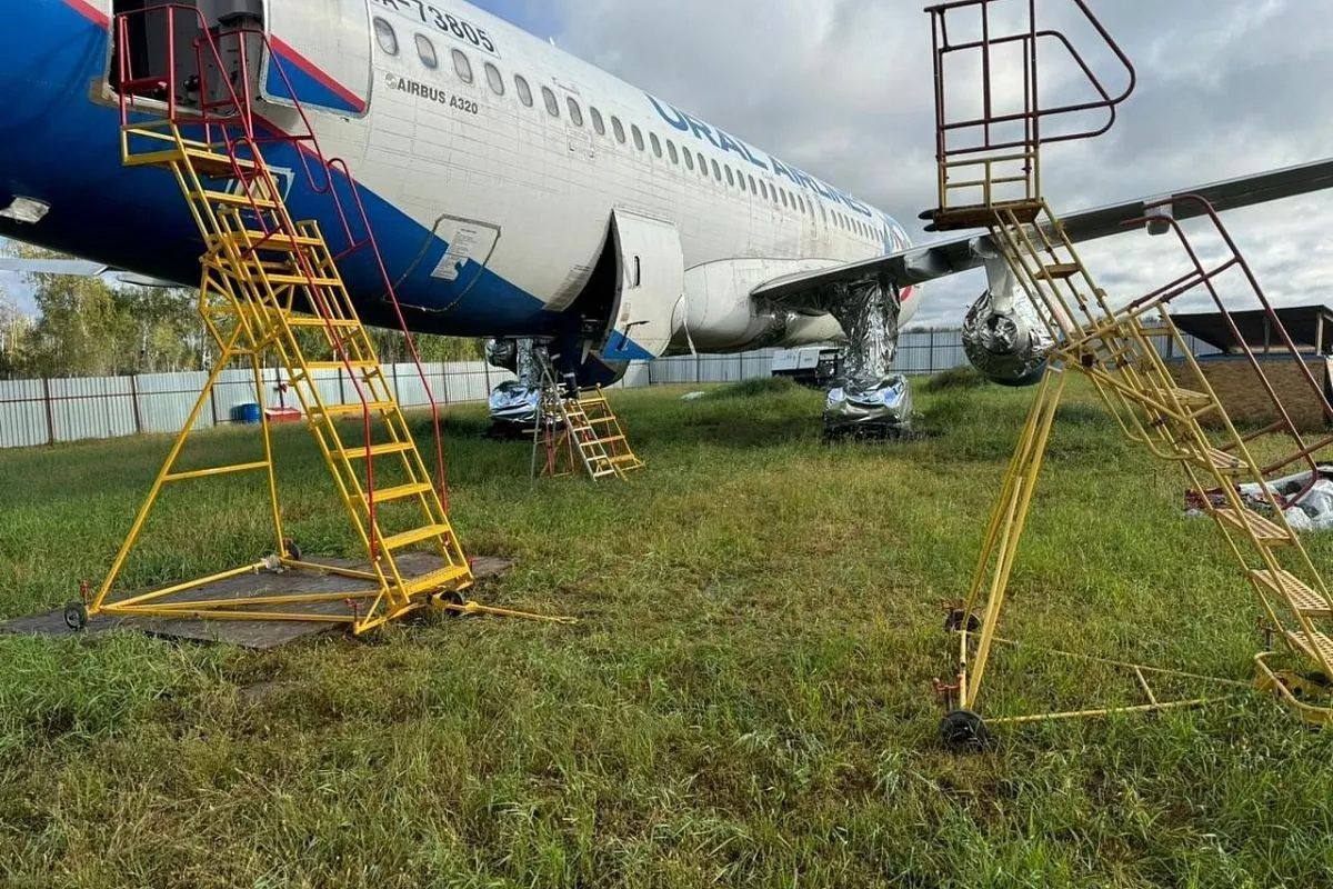 Севший в поле самолет рейса Сочи - Омск заканчивают разбирать.   Самолет «Уральских авиалиний», который экстренно сел в новосибирском поле 12 сентября 2023 года, планируют разобрать на запчасти до конца января.   На борту воздушного судна во время полета находились 170 человек, в том числе двадцать три несовершеннолетних. Все они были успешно эвакуированы. Самолет до сих пор находится в поле. В ноябре пассажиры самолета получили 15,8 млн рублей компенсаций.