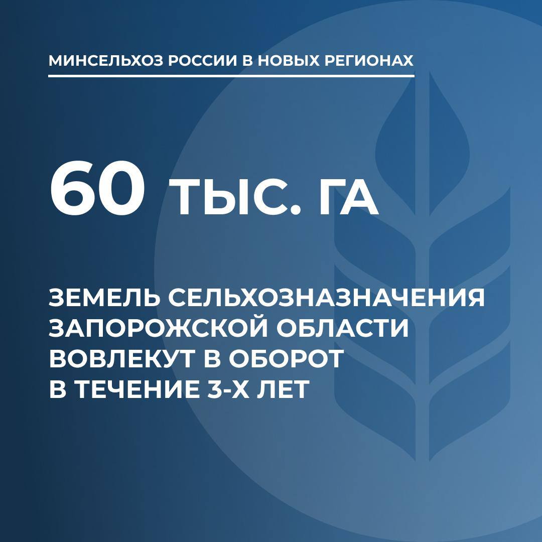 В течение трех лет планируется вовлечь в оборот 60 тыс. гектаров земель сельхозназначения  Более 60 тыс. гектаров земель сельскохозяйственного назначения в Запорожской области планируется дополнительно вовлечь в оборот в течение трех лет. Об этом сообщили в Министерстве сельского хозяйства России.  В настоящее время сельхозугодья региона превышают 1,6 млн гектаров или 82,5% территории. Большую часть занимают посевные площади — 1,2 млн. гектаров, сады еще около 22 тыс. гектаров. Из них более 76 тыс. гектаров необходимо разминировать, еще почти 236 тыс. гектаров расположены в буферной зоне.  В текущем году планируется подготовить проекты межевания земель и поставить их на кадастровый учет.