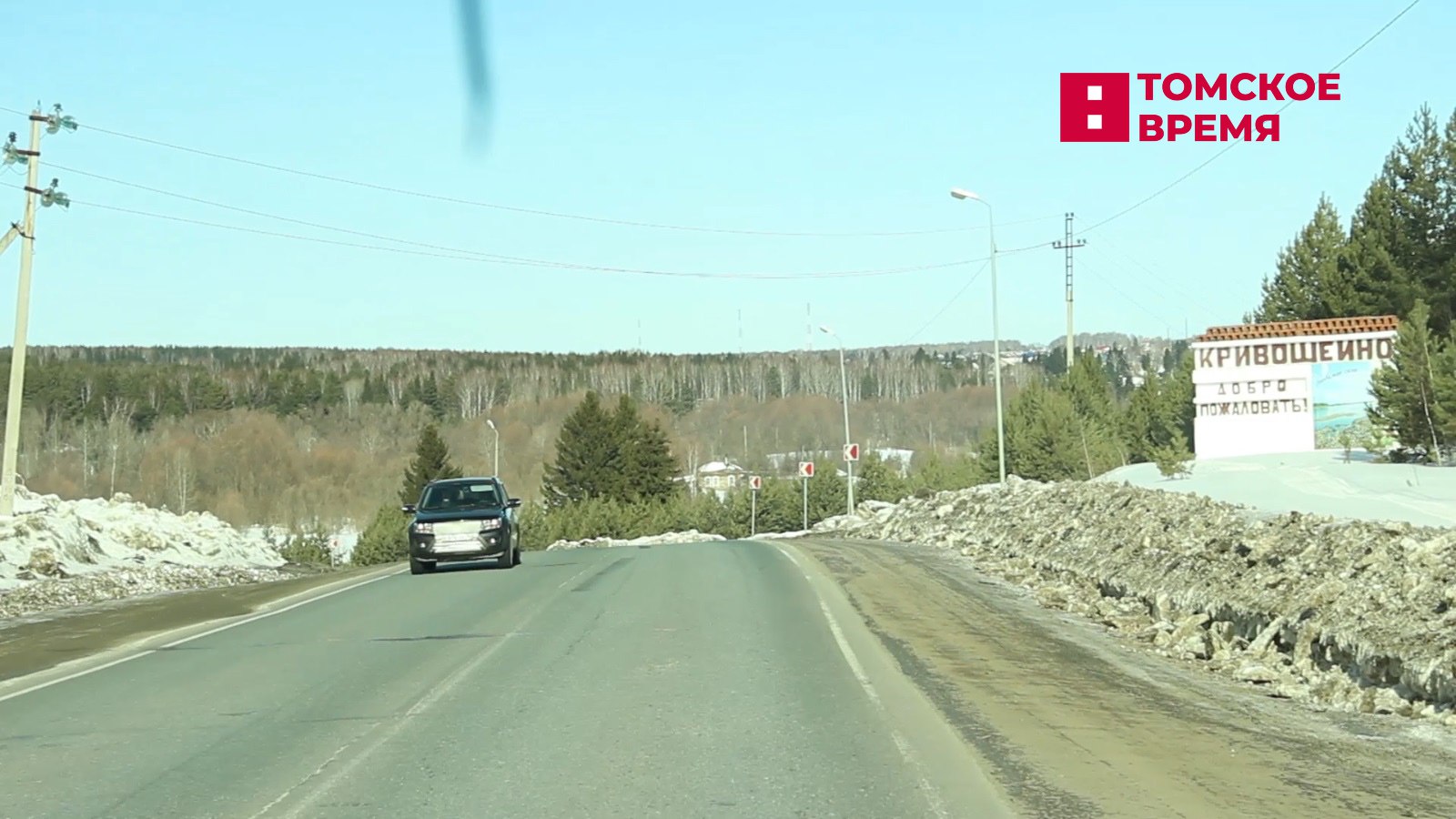 В Кривошеинском районе ликвидировали волка.  Для муниципального образования это событие — хищники появляются там нечасто, в отличие от соседнего Бакчарского района. Причина заключается в недостаточности кормовой базы.   Поводом для расправы послужила обглоданная туша собаки, которую обнаружили в полукилометре от села Володино. Волка охотники загнали, самке удалось уйти.  В ходе обследования маршрутов в охотничьих угодьях Кривошеинского района обнаружили следы ещё трёх волков.