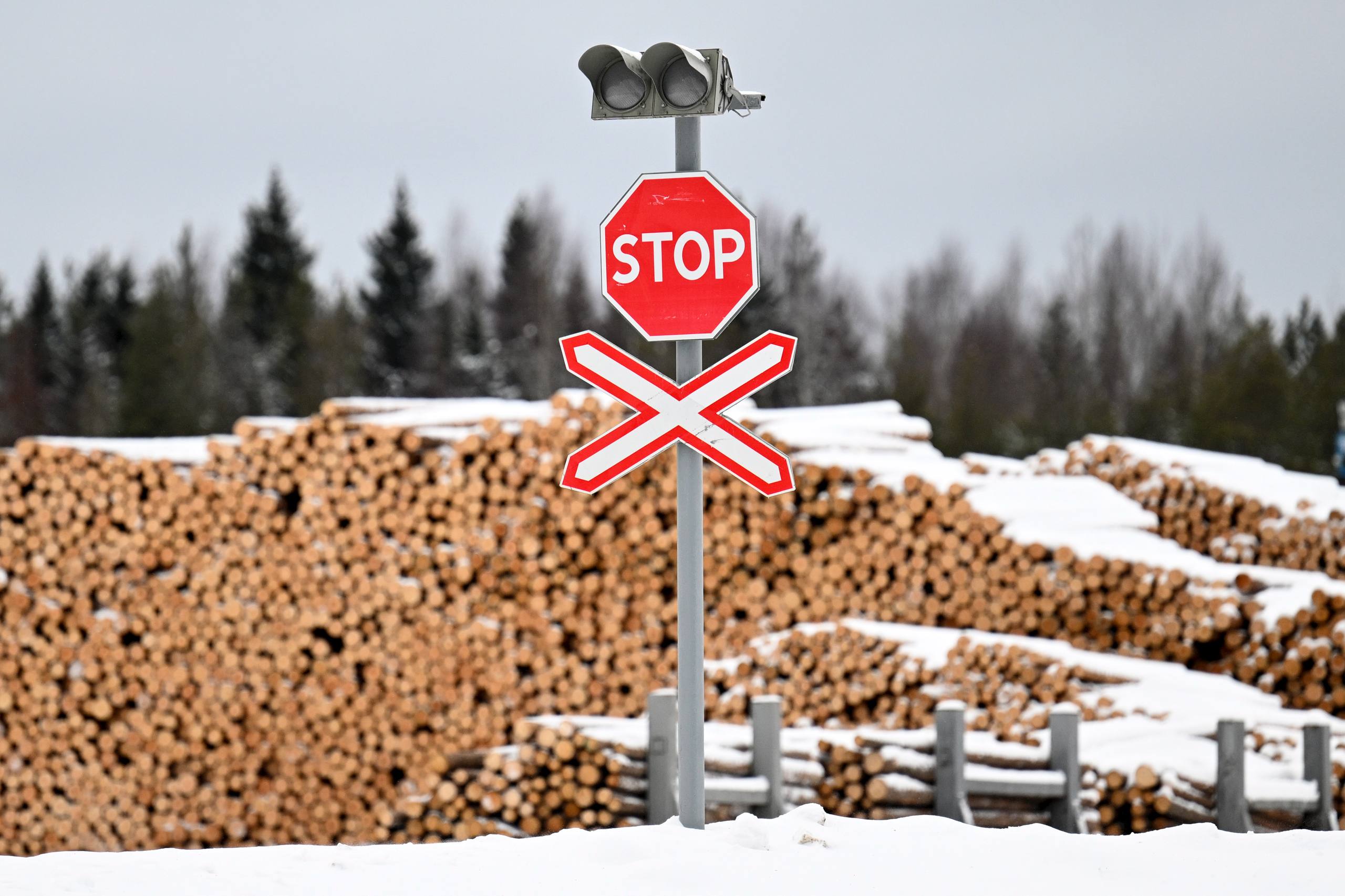 Ограничения на вывоз отдельных видов лесоматериалов продлены до 2028 года Повышенные ставки вывозных таможенных пошлин на брус и пиломатериалы из хвойных пород древесины и ценных лиственных пород таких как дуб бук ясень продлены на 3 года до 31 декабря 2028 года Решение позволит сохранить ограничения вывоза необработанной древесины для экспорта которой пиломатериалы служат товаром прикрытия и стабильное обеспечение сырьем отечественных производителей ℹ Повышенные ставки распространяются на экспорт отдельных видов лесоматериалов влажностью более 22 толщиной и шириной более 10 см Такие ограничения на вывоз лесоматериалов действуют с 2022 года Подписаться на Правительство России в MAX