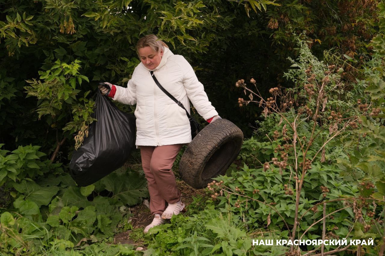 В Красноярском крае более 13 тысяч человек приняли участие в субботниках по очистке берегов водоемов  Всего было проведено более 660 мероприятий, на которых собрали больше 3-х тысяч кубометров мусора. Очищено более 1,1 тысячи километров береговой линии.  Субботники организовали в рамках федерального проекта «Сохранение уникальных водных объектов».