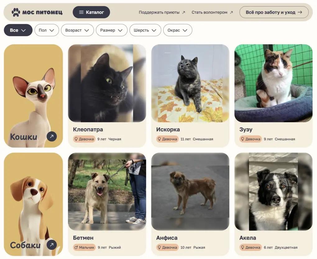 В Москве выбрать кошку или собаку из приюта теперь можно онлайн Портал Моспитомец собрал анкеты животных из 13 городских приютов и предлагает удобный фильтр по возрасту размеру характеру и даже степени пушистости Онлайн тест подбирает только подходящих кандидатов а после выбора остается записаться на встречу и познакомиться с будущим другом лично Каждое пушистое счастье ждет своего человека Адреса приютов   bg ru bg city city news 30280 mos pitomets   Большой Город