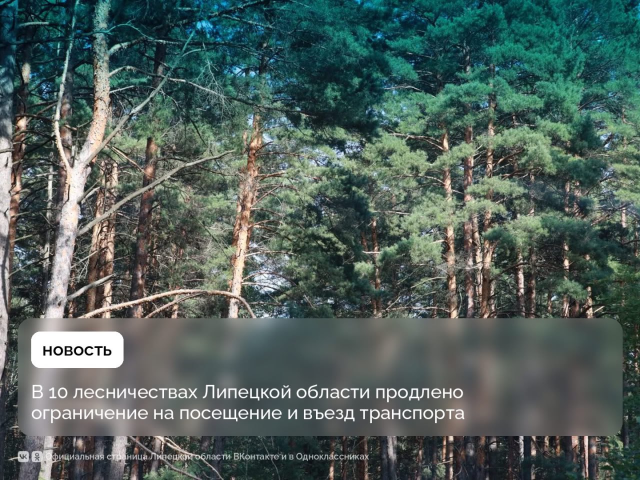 До 30 сентября продлено ограничение на посещение и въезд на транспорте в леса ЛО Оно действует на территориях десяти лесничеств области Липецкого Грязинского Данковского Добровского Донского Елецкого Задонского Тербунского Усманского Чаплыгинского В регионе действует особый противопожарный режим Жителей просят соблюдать ограничения Подписывайся на ЛО в МАХ