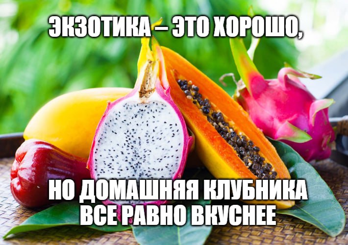 Организмы россиян не настроены на бананы и манго Об этом заявила депутат Татьяна Буцкая в интервью Парламентской газете По мнению чиновницы россиянам нужны местные фрукты и овощи картофель морковь земляника огурцы На экзотические продукты организм якобы генетически не настроен Согласны Подпишитесь на Абзац Добавьте Абзац в ленту Дзена