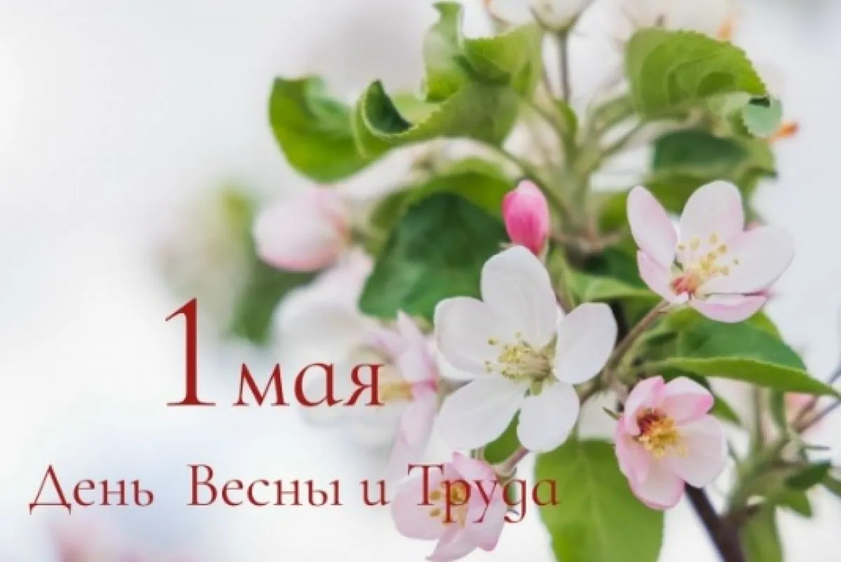 Руководители области поздравили липчан с Днём Весны и Труда   newslipetsk ru fn 1857267 html Губернатор и глава облсовета поздравили липчан с 1 мая отметив вклад тысяч людей в успехи региона Как праздник вдохновит на новые свершения читайте подробнее   Прислать новость Подписаться   Читайте нас в MAX
