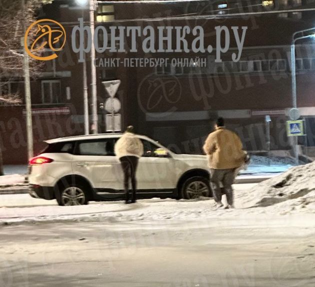 Зашли не в тот лес. Ленинградка и сибирячка задержаны за выходку с елкой в Петербурге  Как сообщает "Фонтанка.ру" со ссылкой на полицейский главк, 24 декабря 27-летняя жительница Ленобласти и 21-летняя уроженка Новосибирска задержаны за похищение дерева из парка Сосновка на севере Петербурга. Похищенная ель изъята.   Обе женщины доставлены в отдел. Поиски начались после того, как утром две особы срубили маленькую ель и скрылись с деревом. Поход с пушистой и зеленой попал в объектив очевидца. Между сообщением о происшествии и доставкой женщин в отдел прошло меньше восьми часов.     Фонтанка.ру