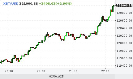 Bitcoin превысил 121 000 График pfs ms bitcoin marketsnapshot