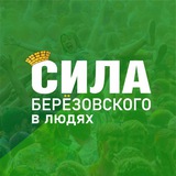 Аватар Телеграм канала: Берёзовский. Сила_БГО (Свердловская область)