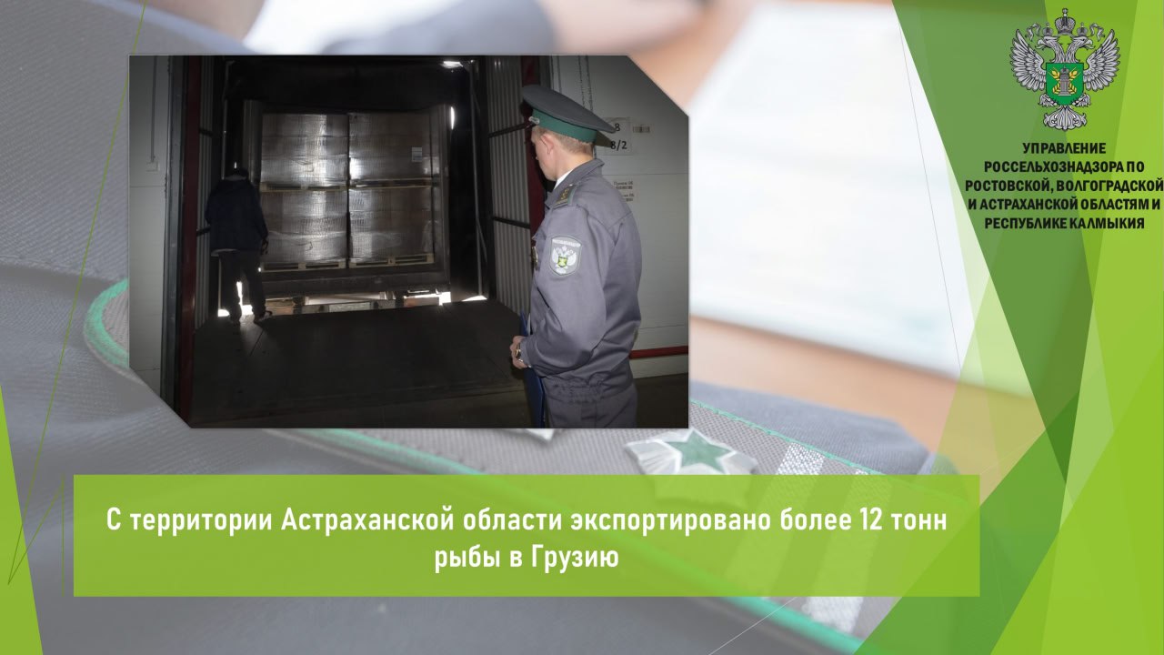 Управлением Россельхознадзора в период с 20 по 26 июня в пункте ветеринарного оформления «Астраханский» проконтролировано и оформлено более 12 т рыбы мороженая для последующей отправки на экспорт в Грузию. Грузы оформлены на основании предъявленных протоколов лабораторных исследований, ветеринарных свидетельств в электронном виде и актов о проведении дезинфекции транспортных средств. При проведении документарного контроля и досмотра подконтрольной продукции нарушений ветеринарного законодательства не выявлено. На грузы выданы ветеринарные сертификаты. Открыть полный текст #Ветеринарный_надзор #Ввоз_вывоз_транзит #Экспорт