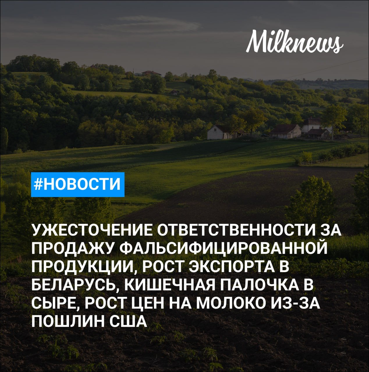 «Ъ»: ответственность за продажу фальсифицированной молпродукции может быть ужесточена Экспорт продукции АПК в Беларусь растет на 20% в 2025 году Роскачество обнаружило кишечную палочку в сыре с белой плесенью семи брендов Госдуму просят сохранить способ определения начальной цены изымаемых сельхозземель H&N: резкого роста цен на молоко в России из-за пошлин США не ожидается