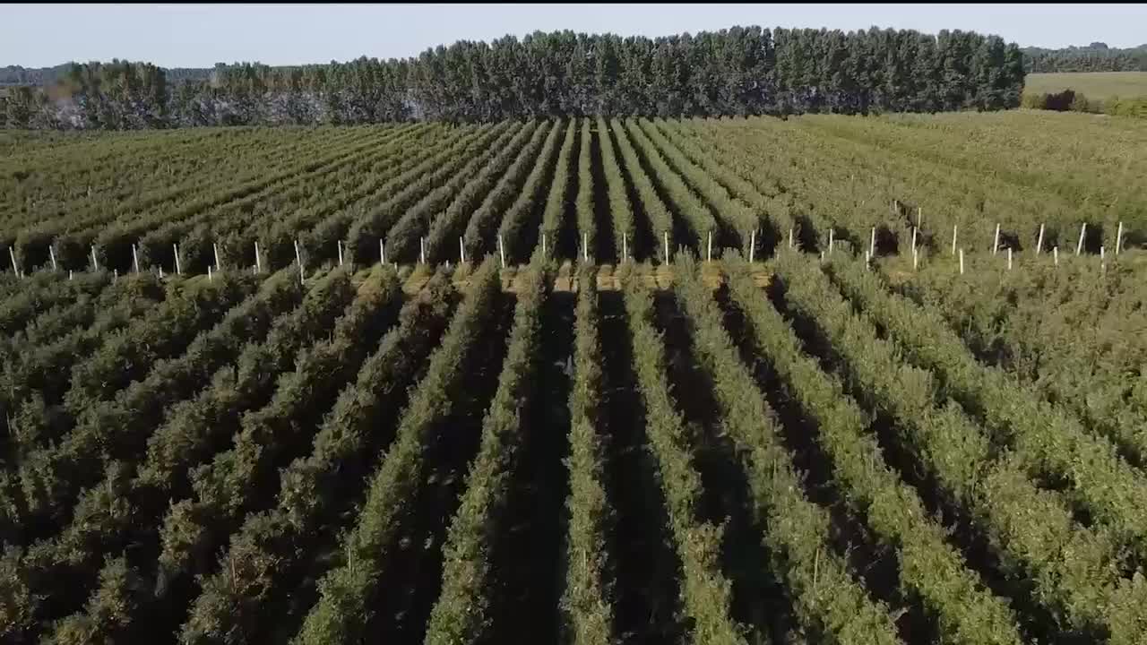 В Забайкалье началась выдача овощных наборов пострадавшим от паводков