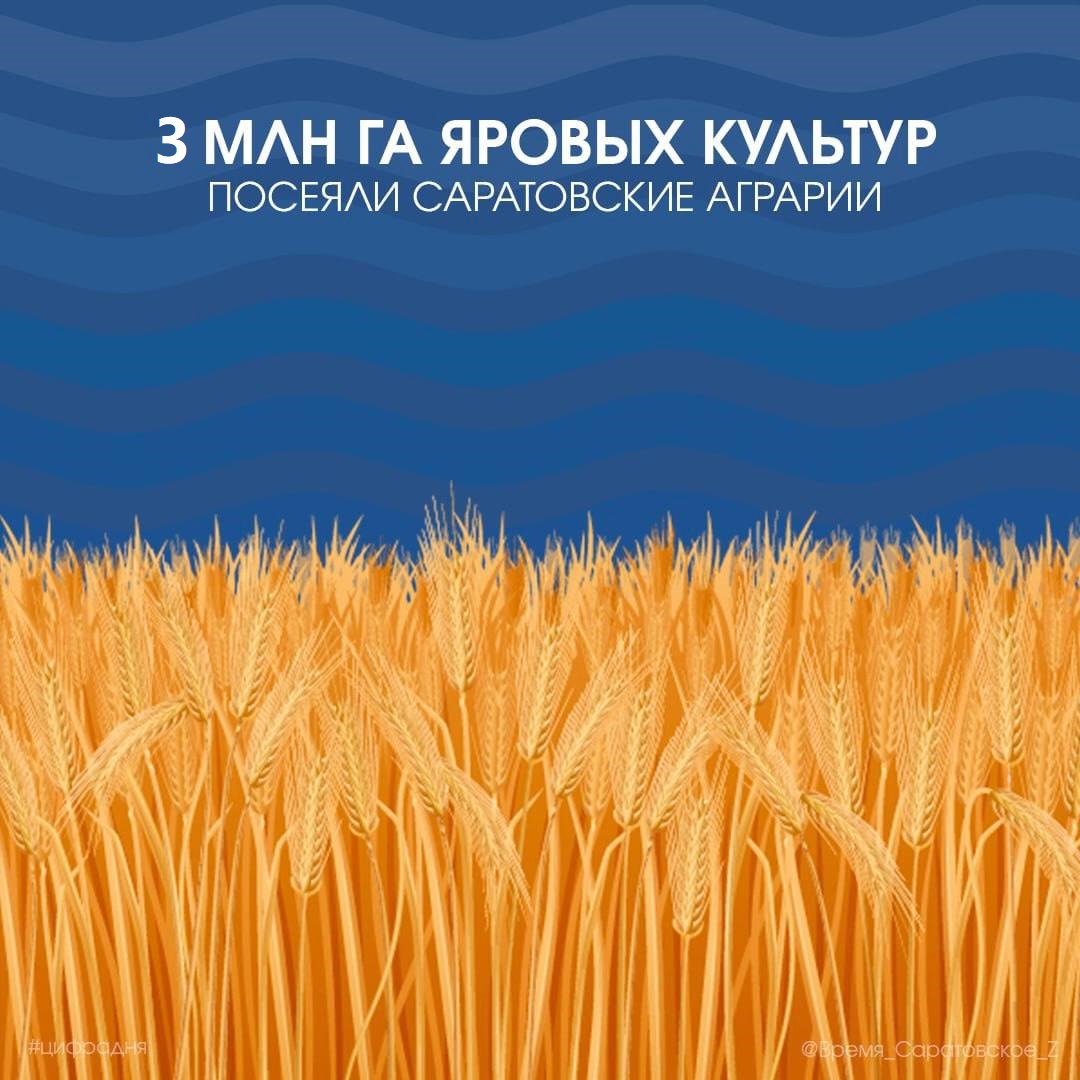 Три миллиона гектаров яровых культур посеяли саратовские аграрии Весенне-полевые работы по севу яровых культур в регионе вышли на финишную прямую. Аграрии засеяли порядка 3 миллионов гектаров. В авангарде посевной кампании десять районов области: Аркадакский 104% , Питерский 103% , Ртищевский 103% , Петровский 102% , Балашовский 102% , Красноармейский 102% , Калининский 101% , Озинский 101% , Романовский 101% , Энгельсский 100% . В семи районах области работы приближаются к завершению более 98% от плана . Как отметили в региональном минсельхозе, в этом сезоне темпы весенне-полевых работ выше прошлого года, этому способствовали благоприятные погодные условия и заблаговременная подготовка аграриев. #цифрадня