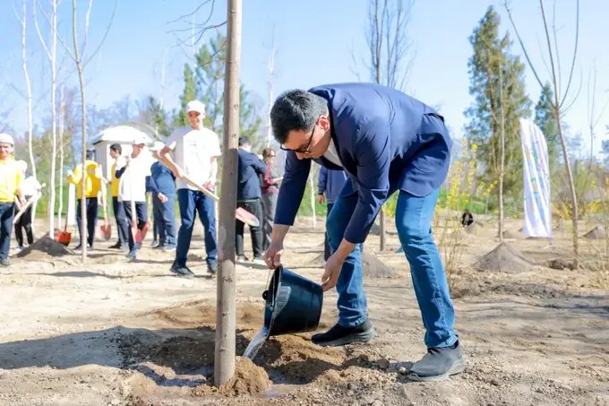 В первом общественном парке Ташкента Oxygen Park высадили 300 саженцев деревьев. Открытие парка запланировано на эту весну. Территория более семи лет была заброшенной. Это будет исключительно зелёный парк без аттракционов и пунктов общепита. Фото.