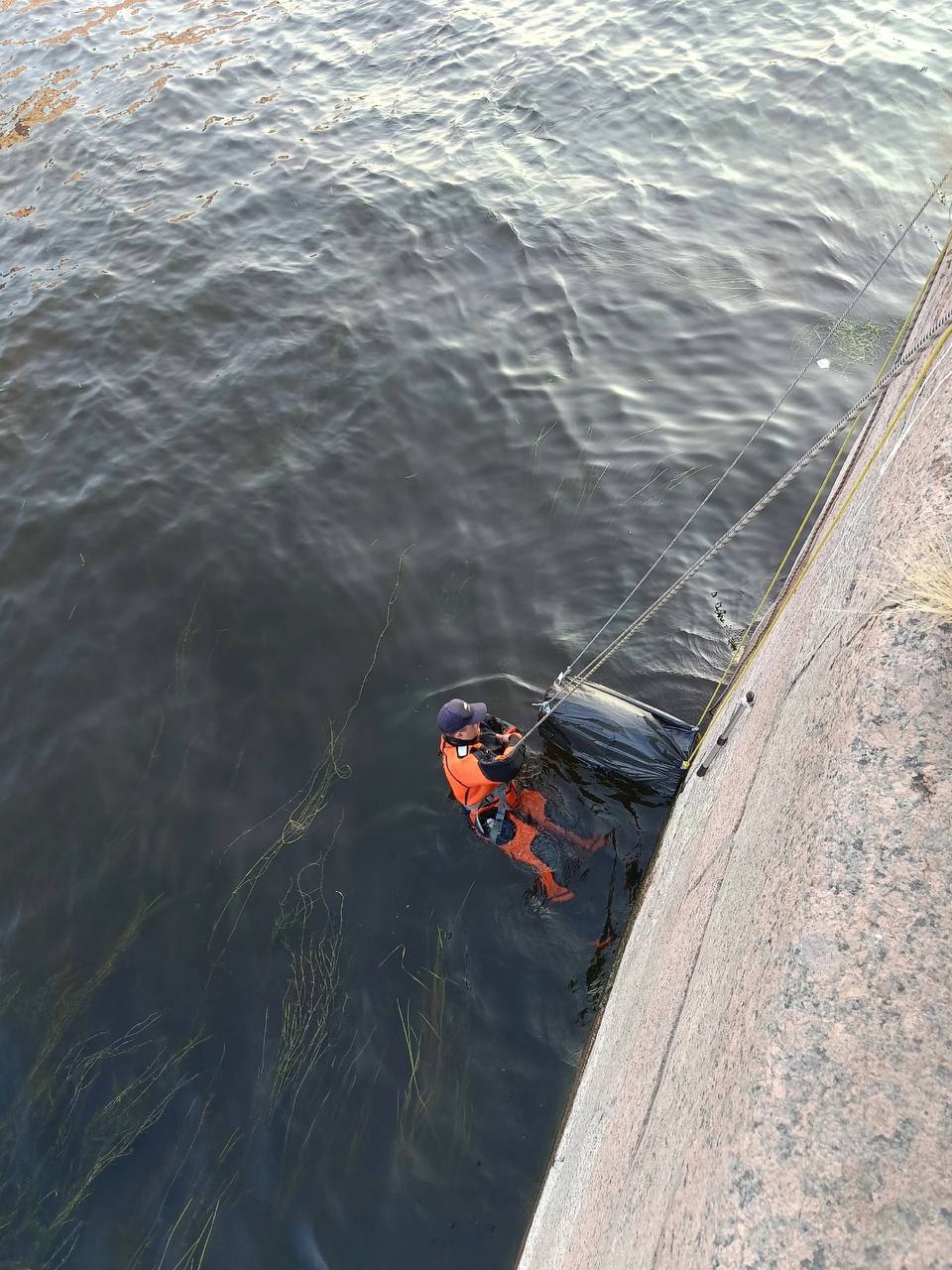 В Петербурге четвёртый день пытаются вытащить кота, застрявшего в облицовке набережной Фонтанки.  Животное заметили 28 июля на глубине около четырёх метров, но все попытки поймать его пока безуспешны — он вырывается. Волонтёры боятся, что поднимающаяся вода может помешать спасательной операции.   Подписаться   Новости СПБ