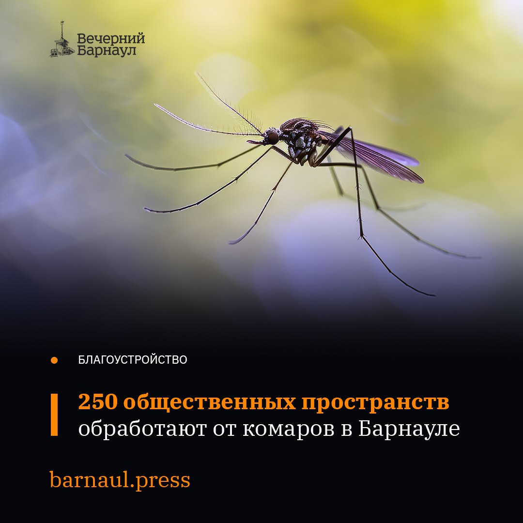 В Барнауле готовятся к проведению инсектицидной обработки территорий от комаров. В Октябрьском районе работы уже идут. На территориях Ленинского, Железнодорожного, Центрального и Индустриального районов, а также на обслуживаемых территориях МБУ «Благоустройство и озеленение» обработку начнут в конце мая или начале июня. Обработка территорий пройдёт в два этапа. Интервал между рассеиванием химических средств, являющихся смертельными для определённых видов насекомых, составит около двух недель. Но точный график будет зависеть от погодных условий. Фото: freepik.com