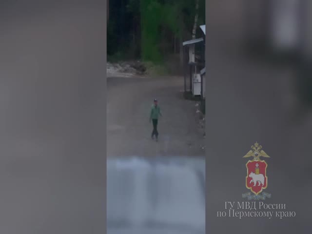 Молодой человек задержан за кражу алкоголя и vandalism в Подмосковье